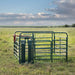 Headgates - Behlen Country Care Center w/CL - 5 Headgate - Behlen Country