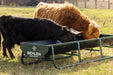 Bunk Feeders - Behlen Country Classic Bunk Feeder - Behlen Country