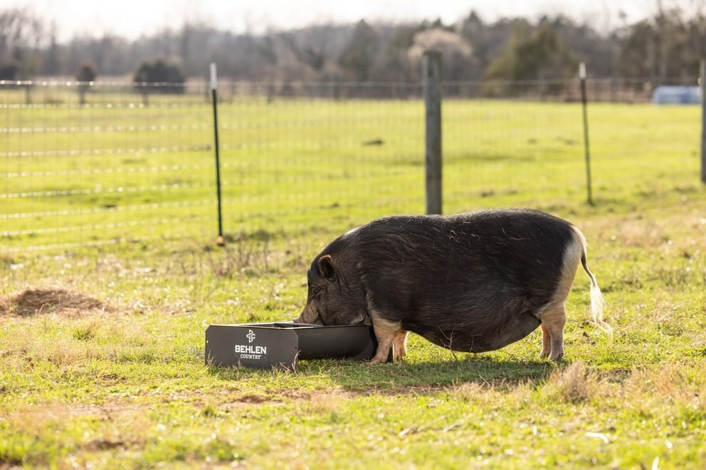 Livestock Feeders - Behlen Country Classic Mini Small Animal Feed Trough - Behlen Country