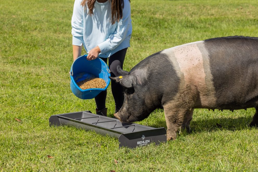 Livestock Feeders - Behlen Country Classic Mini Small Animal Feed Trough - Behlen Country