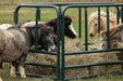 Bale Feeders - Behlen Country DuraBale Feeder - Behlen Country