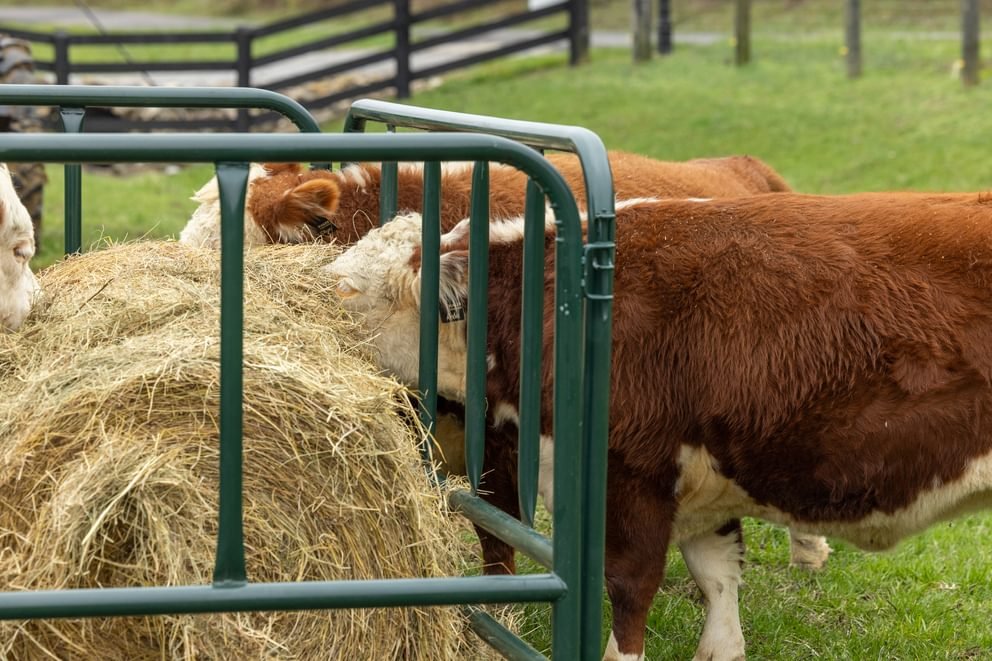Bale Feeders - Behlen Country DuraBale Feeder - Behlen Country