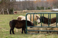 Bale Feeders - Behlen Country DuraBale Feeder - Behlen Country
