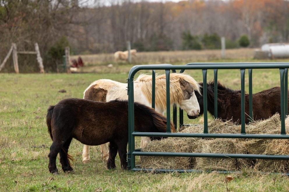 Bale Feeders - Behlen Country DuraBale Feeder - Behlen Country