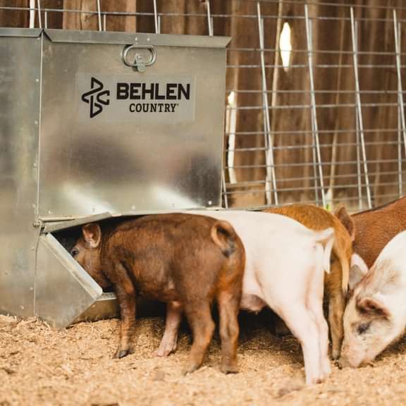 Livestock Feeders - Behlen Country Easy - Feed Feeder - Behlen Country