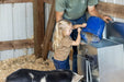 Livestock Feeders - Behlen Country Easy - Feed Feeder - Behlen Country