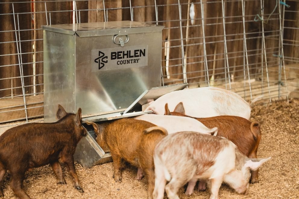Livestock Feeders - Behlen Country Easy - Feed Feeder - Behlen Country