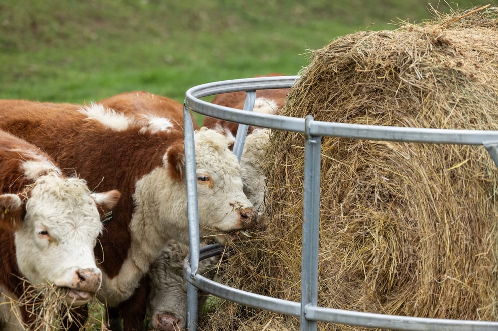 Bale Feeders - Behlen Country EcoSmart Round Bale Feeder - Behlen Country
