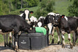 Waterers - Behlen Country Energy - Free HydroStation MAX - Behlen Country