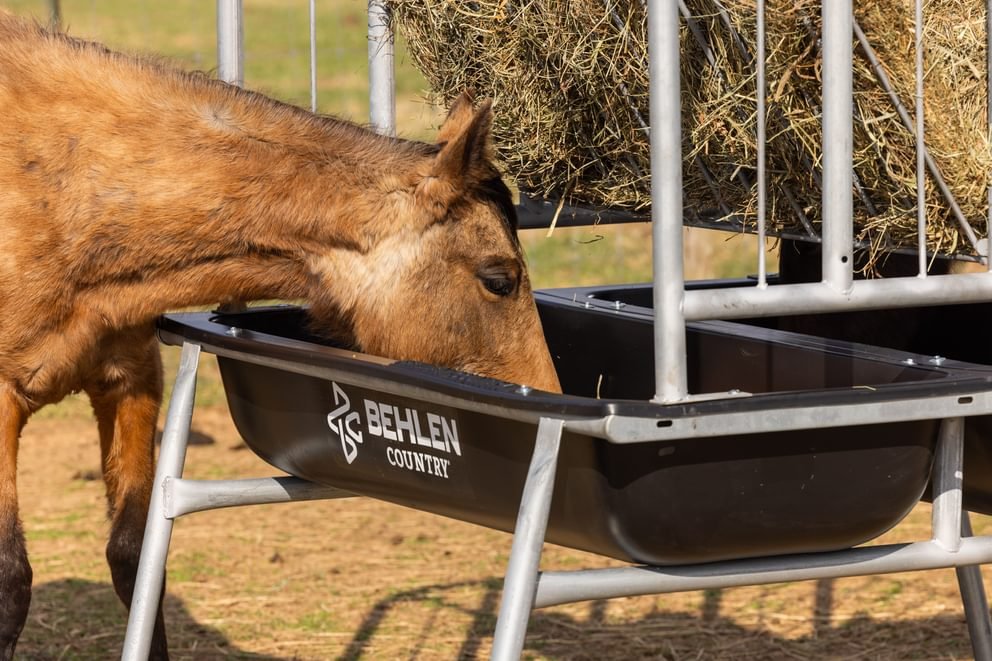 Horse Feeders - Behlen Country Equine Ace Horse Feeder - Behlen Country