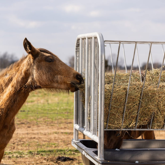 Horse Feeders - Behlen Country Equine Ace Horse Feeder - Behlen Country