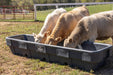 Bunk Feeders - Behlen Country EverTough Poly Bunk Feeder - Behlen Country