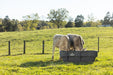 Bunk Feeders - Behlen Country EverTough Poly Bunk Feeder - Behlen Country