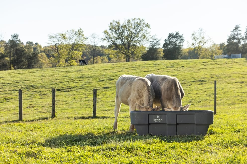 Bunk Feeders - Behlen Country EverTough Poly Bunk Feeder - Behlen Country