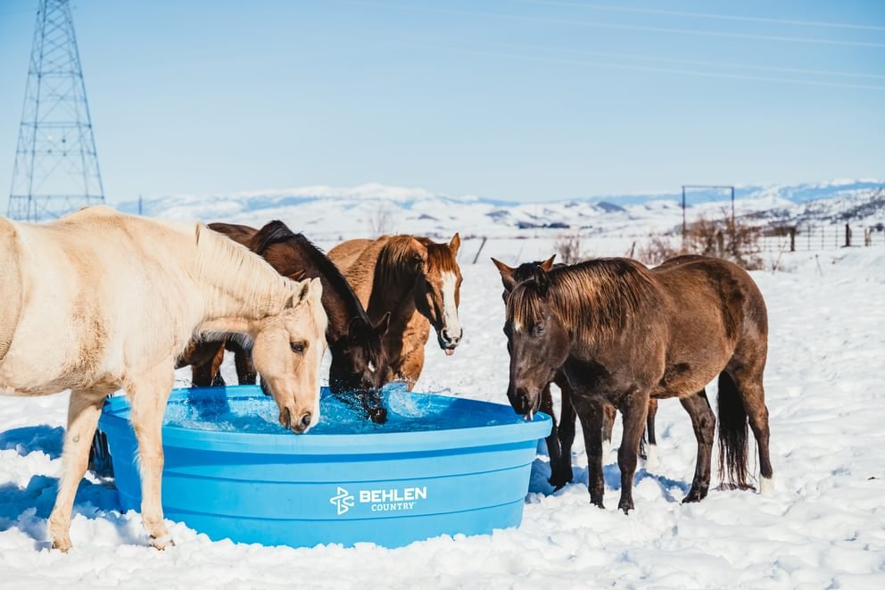 Waterers - Behlen Country Farm Flex Round Tanks - Behlen Country