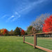 Panels & Gates - Behlen Country Fence Panels - Behlen Country