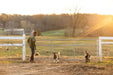 Gates - Behlen Country Homesteader Gate - Behlen Country