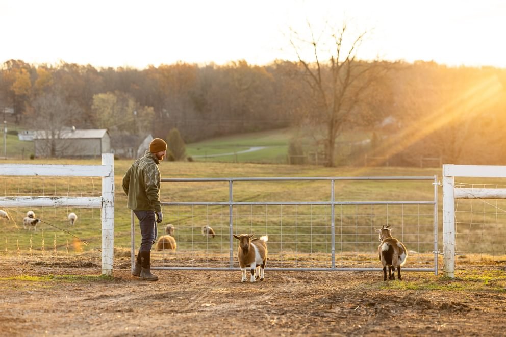 Gates - Behlen Country Homesteader Gate - Behlen Country
