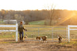 Gates - Behlen Country Homesteader Gate - Behlen Country