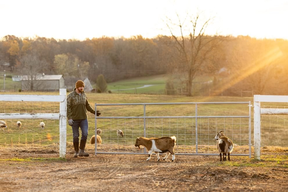 Gates - Behlen Country Homesteader Gate - Behlen Country