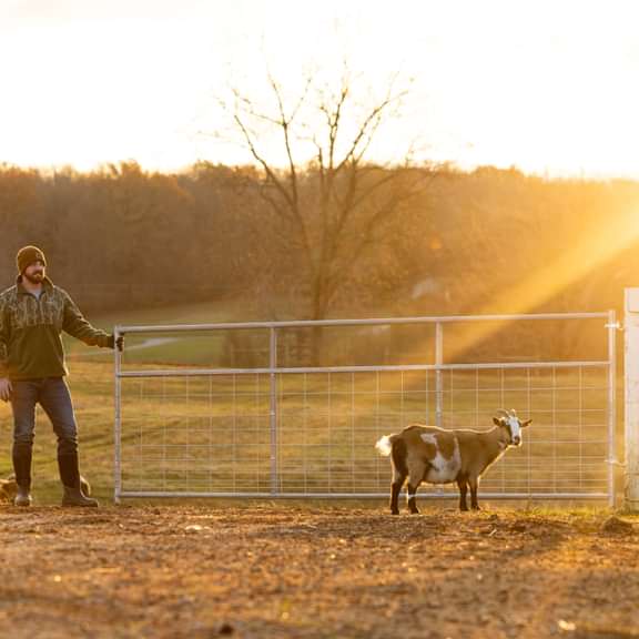Gates - Behlen Country Homesteader Gate - Behlen Country