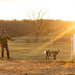 Gates - Behlen Country Homesteader Gate - Behlen Country