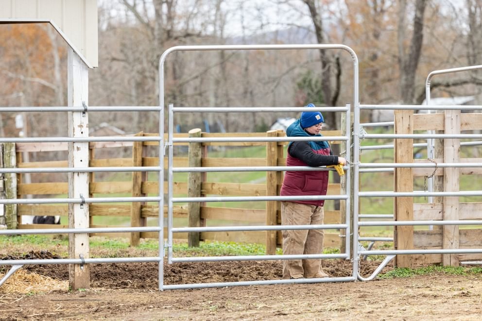 Panels & Gates - Behlen Country Horse Country Corral Panels - Chain Connection - Behlen Country