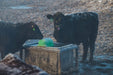 Waterers - Behlen Country HydroStation Electric Waterers | AHW250 - Behlen Country