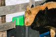 Waterers - Behlen Country HydroStation Electric Waterers | AHW80 - Behlen Country