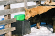 Waterers - Behlen Country HydroStation Electric Waterers | AHW80 - Behlen Country