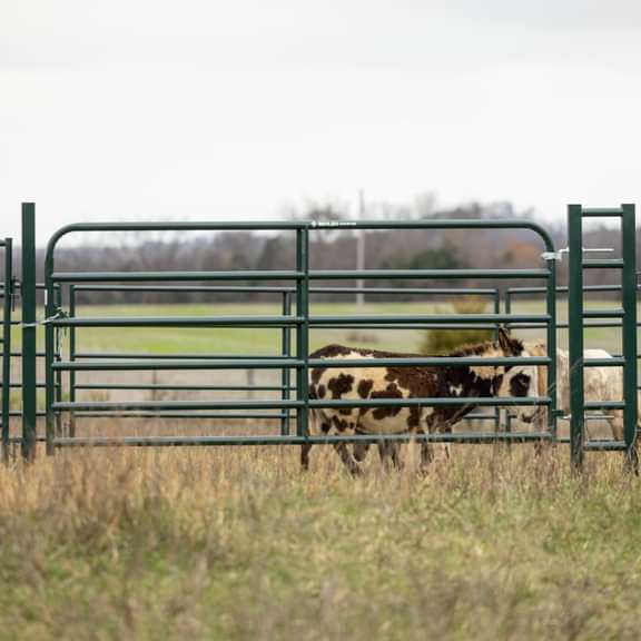 Panels & Gates - Behlen Country Inverted Arch Panel - Behlen Country