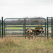 Panels & Gates - Behlen Country Inverted Arch Panel - Behlen Country