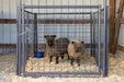 Panels & Walk Throughs - Behlen Country KidGuard Panels - Behlen Country