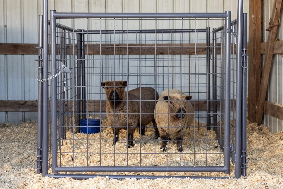 Panels & Walk Throughs - Behlen Country KidGuard Panels - Behlen Country