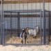 Panels & Walk Throughs - Behlen Country KidGuard Panels - Behlen Country