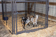 Panels & Walk Throughs - Behlen Country KidGuard Panels - Behlen Country