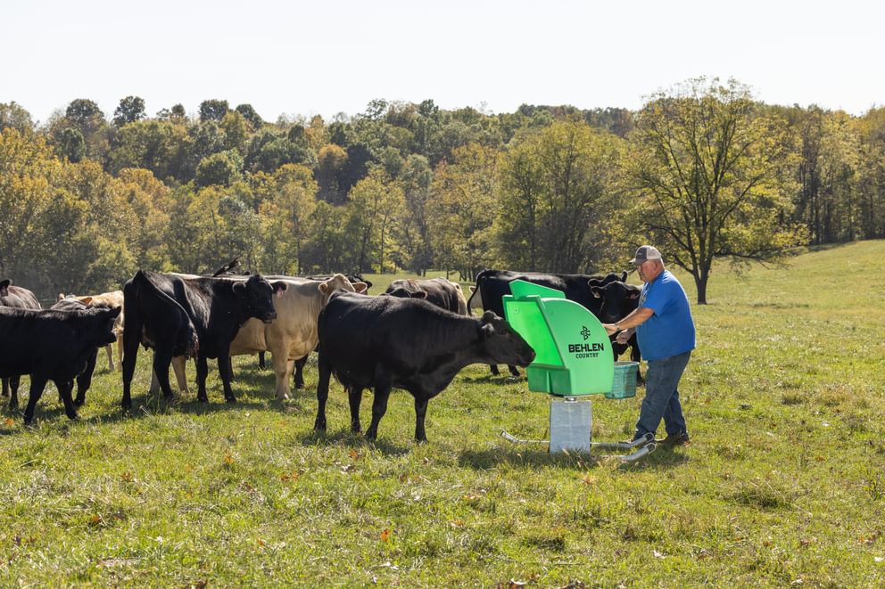 Mineral Feeders - Behlen Country Pasture Max Mineral Feeder - Behlen Country