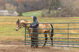 Gates - Behlen Country Pasture Pro 7 - Bar Gate - Behlen Country
