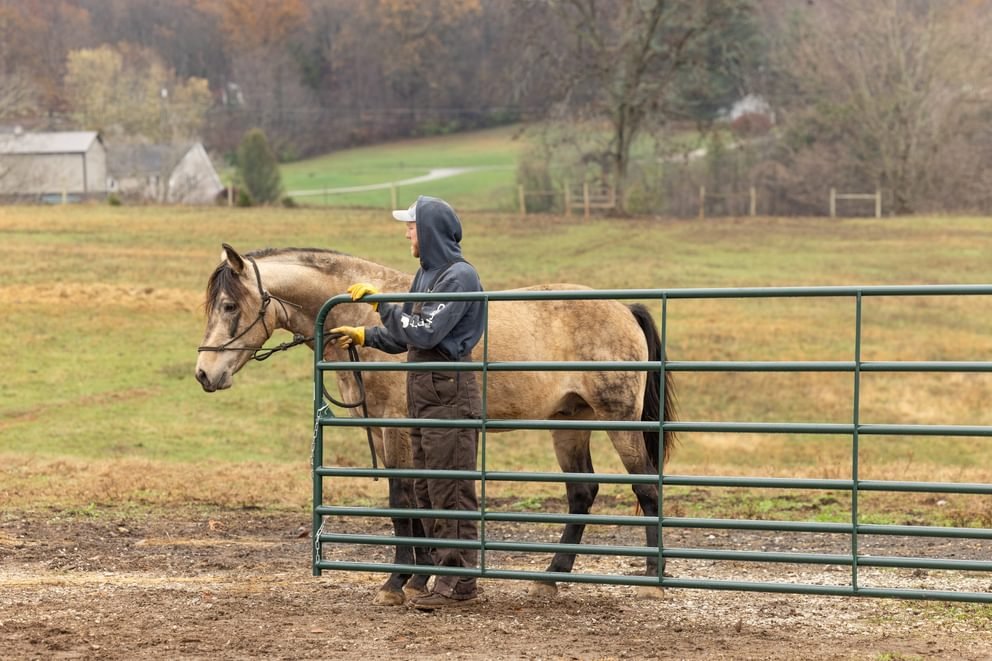 Gates - Behlen Country Pasture Pro 7 - Bar Gate - Behlen Country