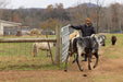 Gates - Behlen Country Pasture Pro 7 - Bar Gate - Behlen Country