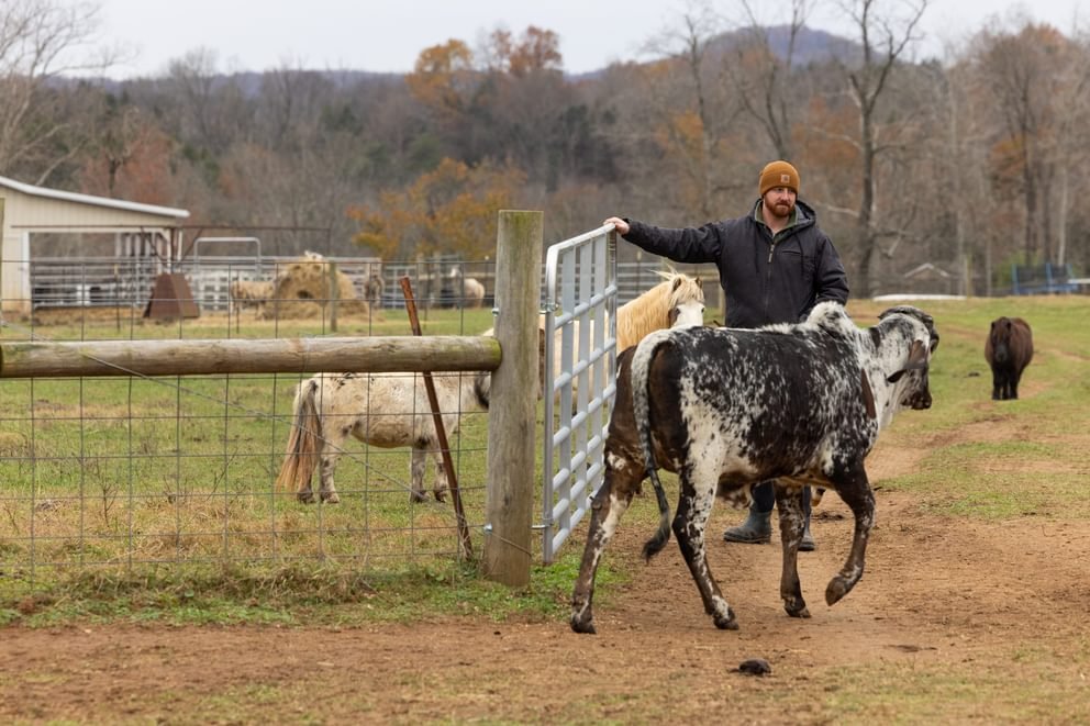 Gates - Behlen Country Pasture Pro 7 - Bar Gate - Behlen Country