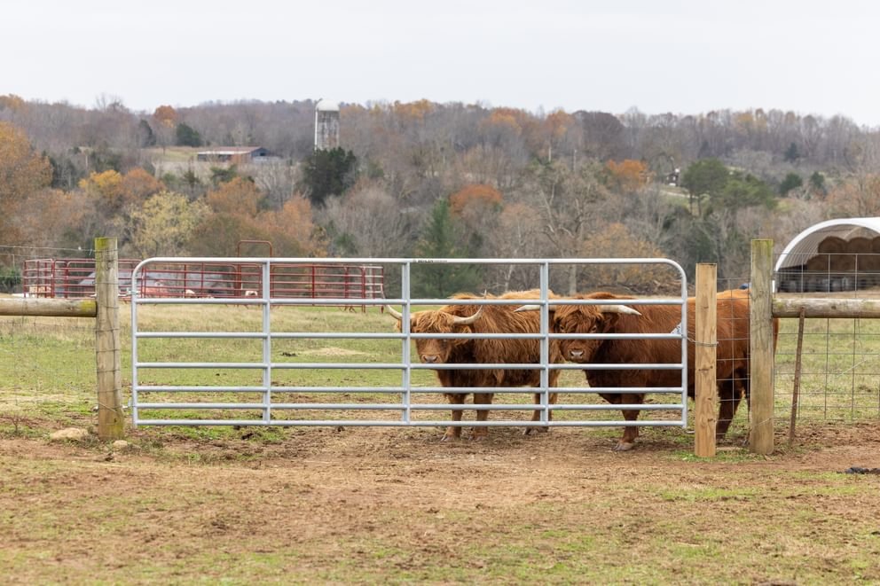 Gates - Behlen Country Pasture Pro 7 - Bar Gate - Behlen Country