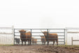 Gates - Behlen Country Pasture Pro Collared Hinge Gate - Behlen Country