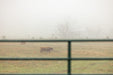 Gates - Behlen Country Pasture Pro Collared Hinge Gate - Behlen Country