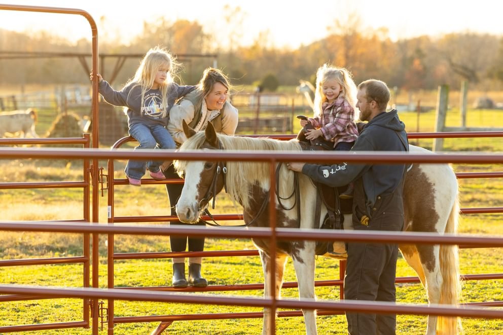 Panels & Walk Throughs - Behlen Country Pioneer Corral Panels - Behlen Country
