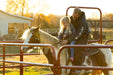 Panels & Walk Throughs - Behlen Country Pioneer Corral Panels - Behlen Country