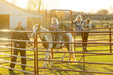 Panels & Walk Throughs - Behlen Country Pioneer Corral Panels - Behlen Country
