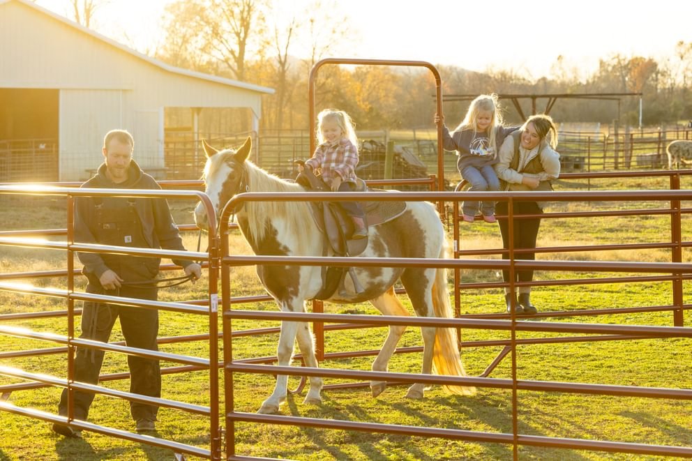 Panels & Walk Throughs - Behlen Country Pioneer Corral Panels - Behlen Country