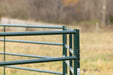 Panels & Walk Throughs - Behlen Country Pioneer Corral Panels - Behlen Country