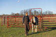 Panels & Walk Throughs - Behlen Country Pioneer Corral Panels - Behlen Country